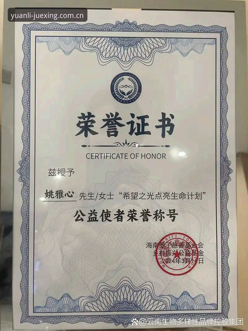 原创源力觉醒D8CA注册地址官方下载 华体会体育在线 原创源力觉醒D8CA注册地址官方下载 实用指南:数据控亲测的三项关键指标